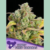 Anesia Honey Fried Bananas Fem 3St.