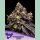 Anesia Glowberry Rush Fem 3St.