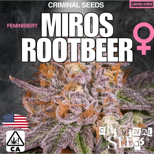 Criminal Seeds Miros Rootbeer x Cali Fem 3St.