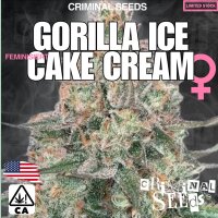 Criminal Seeds Gorilla Ice Cake Cream x Cali Fem 3St.