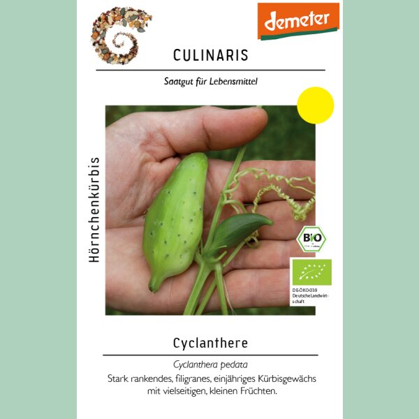 Cyclanthere, Hörnchenkürbis