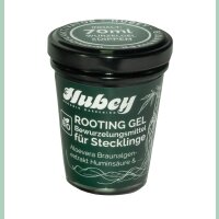 Hubey Bio Rooting Gel 70 ml