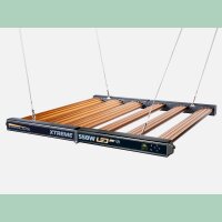 Dimlux Xtreme 550w NIR MKII