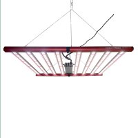 BloomStar Pro 720 3.0 DUAL-Spec