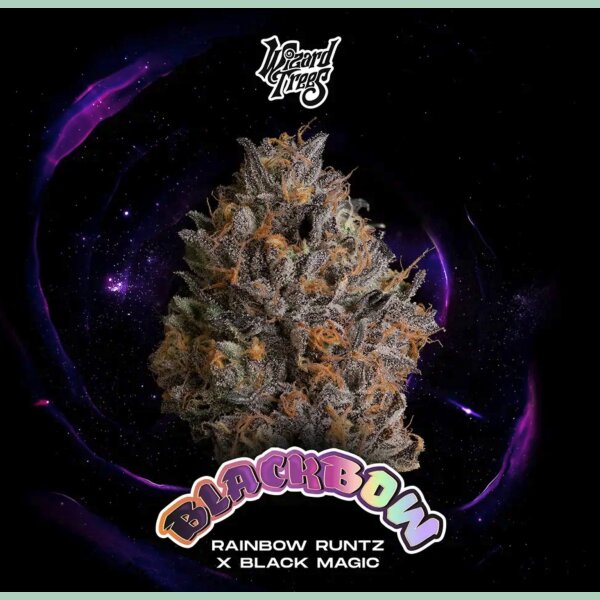 Wizard Trees Black Bow Fem 3St.