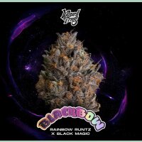 Wizard Trees Black Bow Fem 3St.