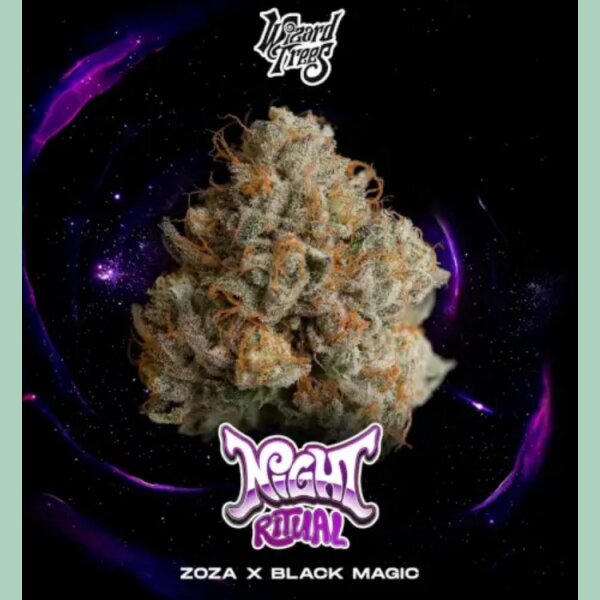 Wizard Trees Night Ritual Fem 3 St.