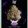 Wizard Trees Night Ritual Fem 3 St.