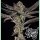 Wizard Tree Propa Candy Fem 3St.