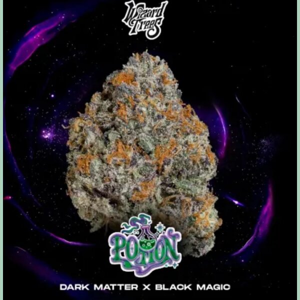 Wizard Trees Potion Fem 3St.