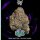 Wizard Trees Potion Fem 3St.