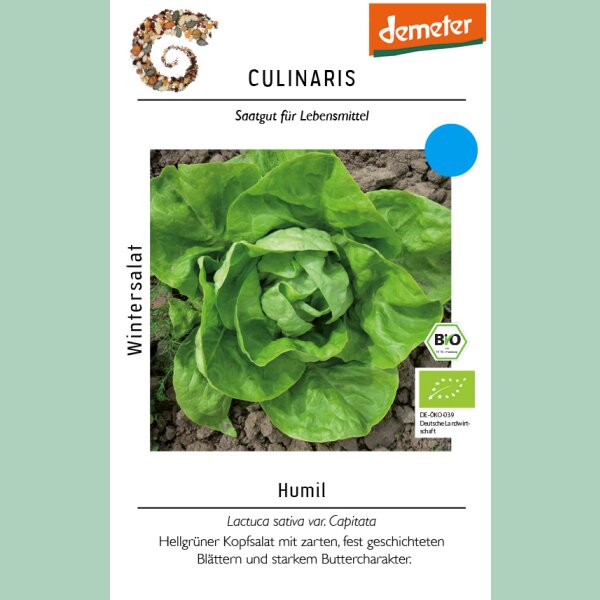 Wintersalat Humil