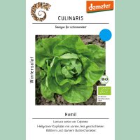 Wintersalat Humil