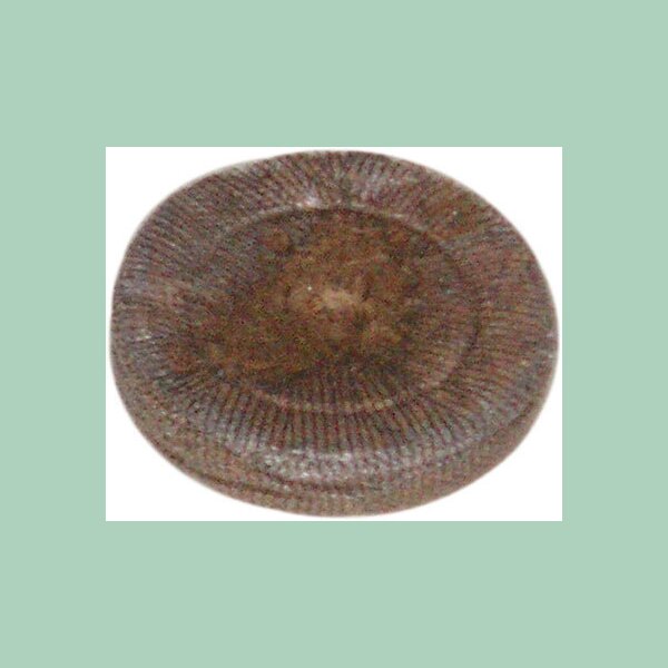 Jiffy QuelltÃ¶pfe Ã˜41mm