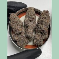 Cipher Genetics Red Reaper Fem 3St.