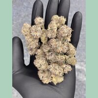 Cipher Genetics Schedule Z Fem 3St.