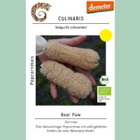 Popcornmais Bear Paw