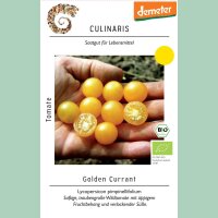 Wildtomate Golden Currant