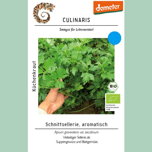 Schnittsellerie, aromatisch