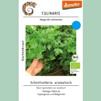 Schnittsellerie, aromatisch