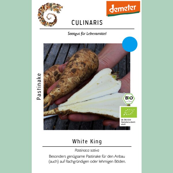 Pastinake White King
