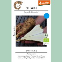 Pastinake White King