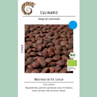 Marmorierte Linse