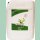Hy-Pro Terra 20 Liter