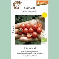 Wildtomate Rote Murmel