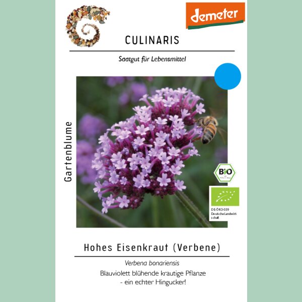 Hohes Eisenkraut - Verbene