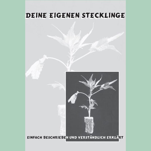 Deine eigenen Stecklinge