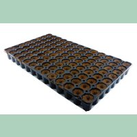 Eazy Plug rund 104C Tray