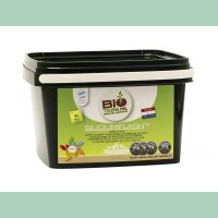 BioTabs Silicium Flash 1,25kg